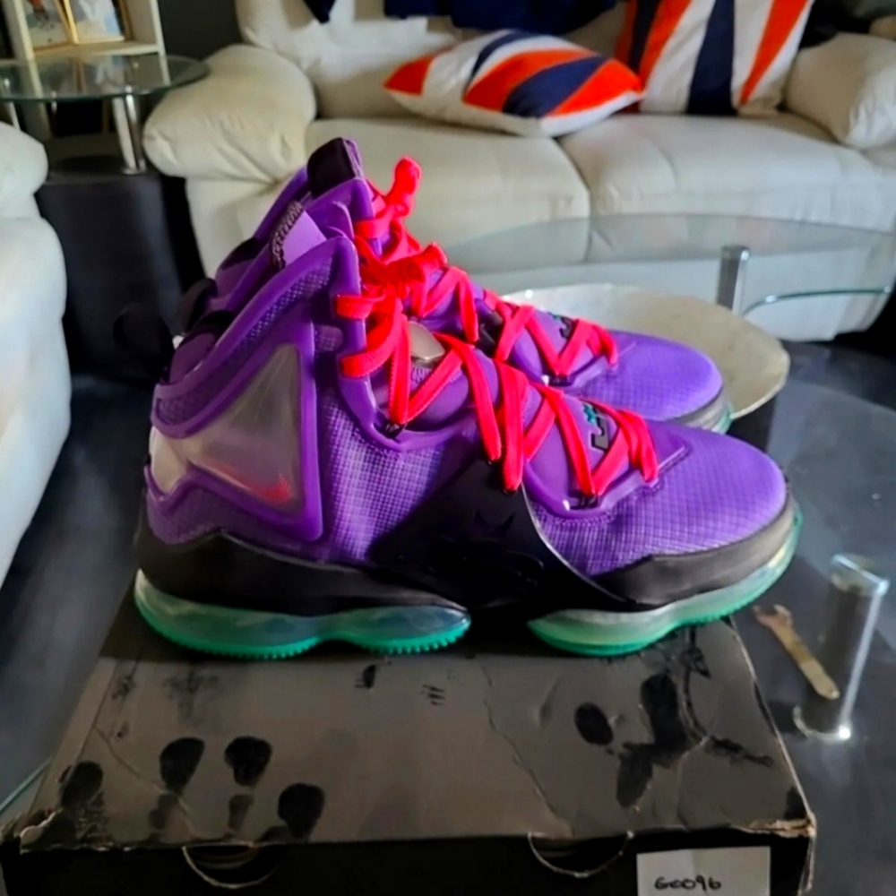 Lebron 19 Field Berry!